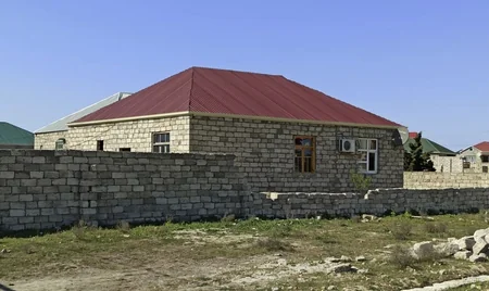 Asan qazanc hərisliyi COVID-19-dan daha yaşlı və qorxuludur - ARAŞDIRMA