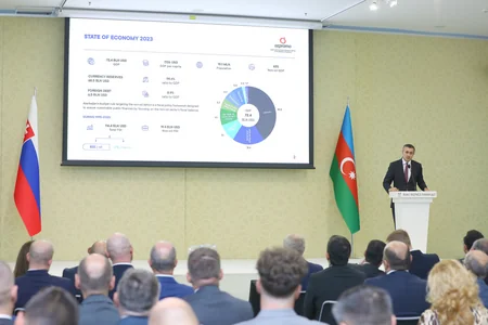 Bakıda Azərbaycan-Slovakiya biznes forumu keçirilib