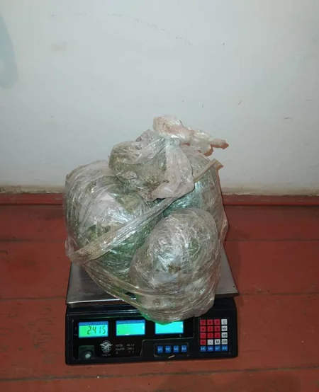 Azerbaijan prevents drug smuggling from Iran