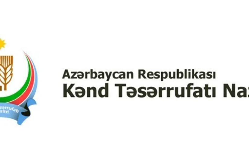 Nazirlik: Azərbaycanda artıq daha keyfiyyətli, sertifikatlaşdırılmış toxum növlərindən istifadə edilir