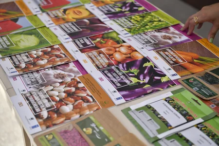 Şamaxıda növbəti toxum sərgi-satış yarmarkası keçirilib