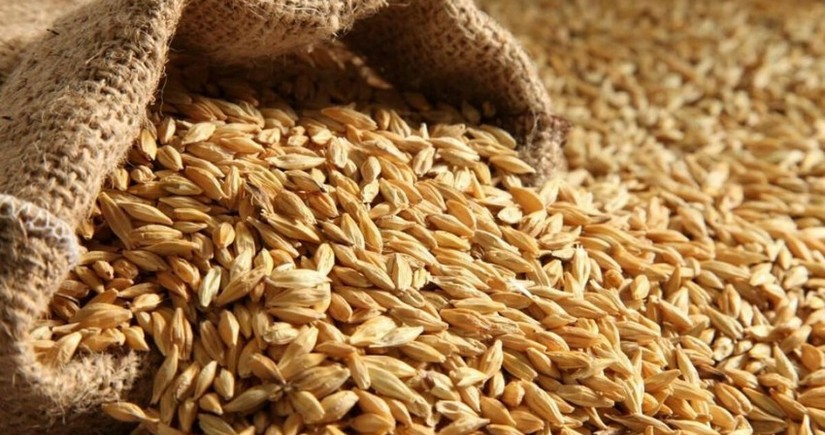 Kazakhstan secures record share in wheat imports to Azerbaijan