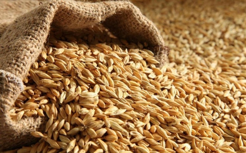 Kazakhstan secures record share in wheat imports to Azerbaijan