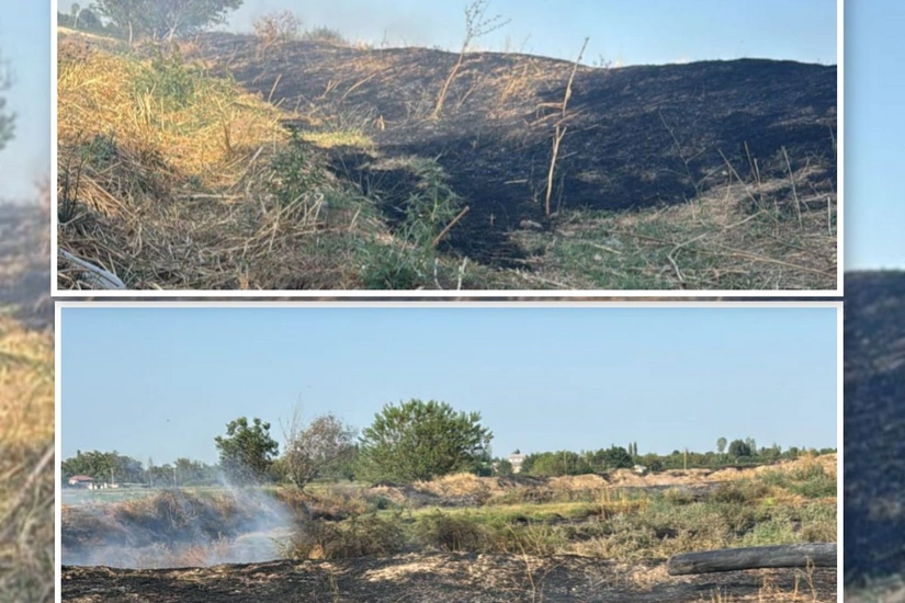 Ağdamda əkin sahəsində yanğın törətməkdə şübhəli bilinən şəxs saxlanılıb