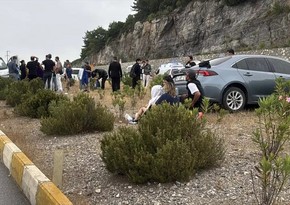 В результате ДТП в турецком Бодруме пострадали 15 человек