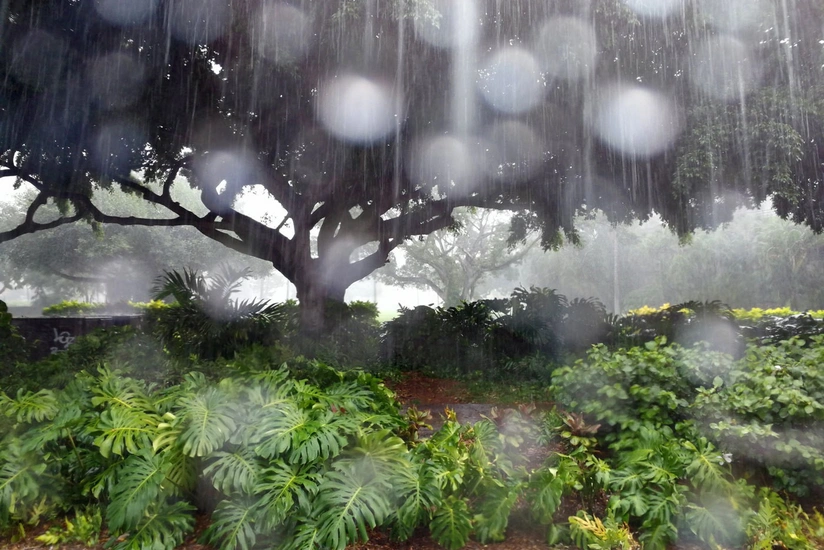 Weather forecast for tomorrow in Azerbaijan announced