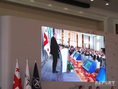 NATO PA adopts a declaration supporting Georgia's integration into Euro-Atlantic structures