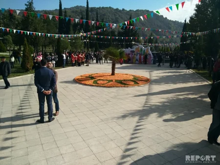 Balakan district for first time hosts International Date Festival - PHOTO
