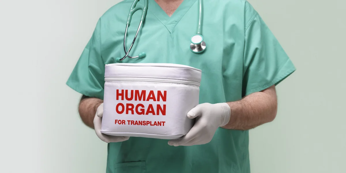 Canlı donordan transplantasiya məqsədilə hansı orqanlar götürüləcək?