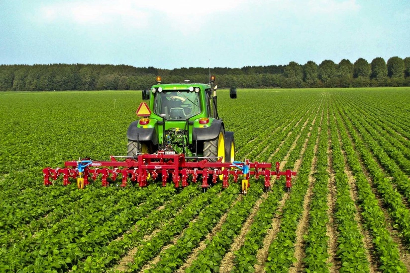 Azərbaycanda aqrar sektor 1 % böyüyüb