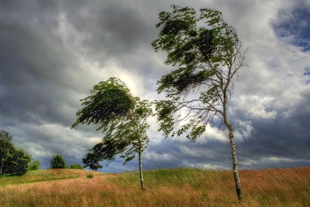 В Баку и на Абшероне ожидается сильный ветер