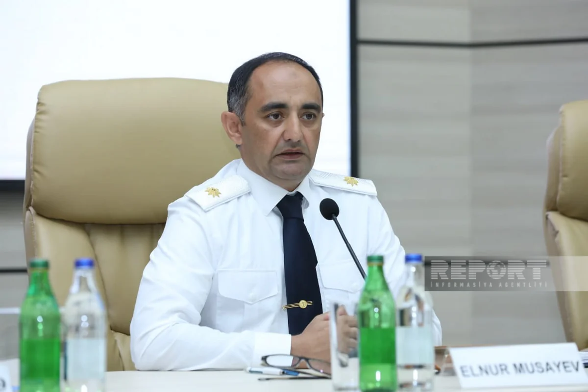 Baş Prokurorluq: “Ağackəsməyə görə sahibkarlar və şirkətlər tərəfindən 1,5 milyon manat ziyan ödənilib”