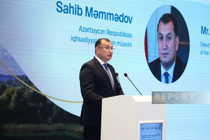 Sahib Məmmədov: Enerji keçidində maliyyənin təmin edilməsi üçün bütün maraqlı tərəflərlə işləməyə hazırıq