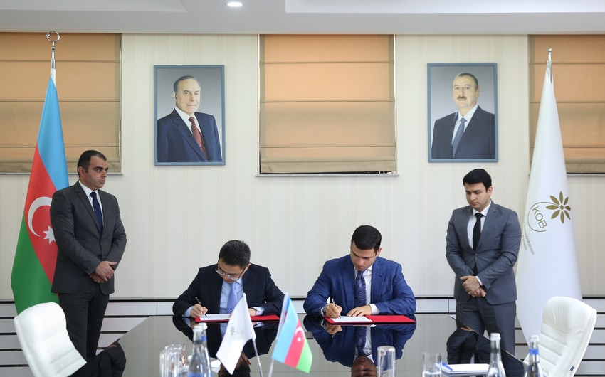 “Huawei” KOB İnkişaf Mərkəzləri ilə əməkdaşlıq imkanlarını nəzərdən keçirəcək