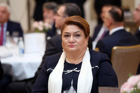Bakıda Yeni Azərbaycan Partiyasının təşkilatçılığı ilə Möhtəşəm quruculuq: dünən, bu gün, sabah adlı konfrans keçirilib