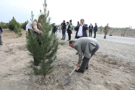 Представители дипкорпуса посадили деревья в Тертере