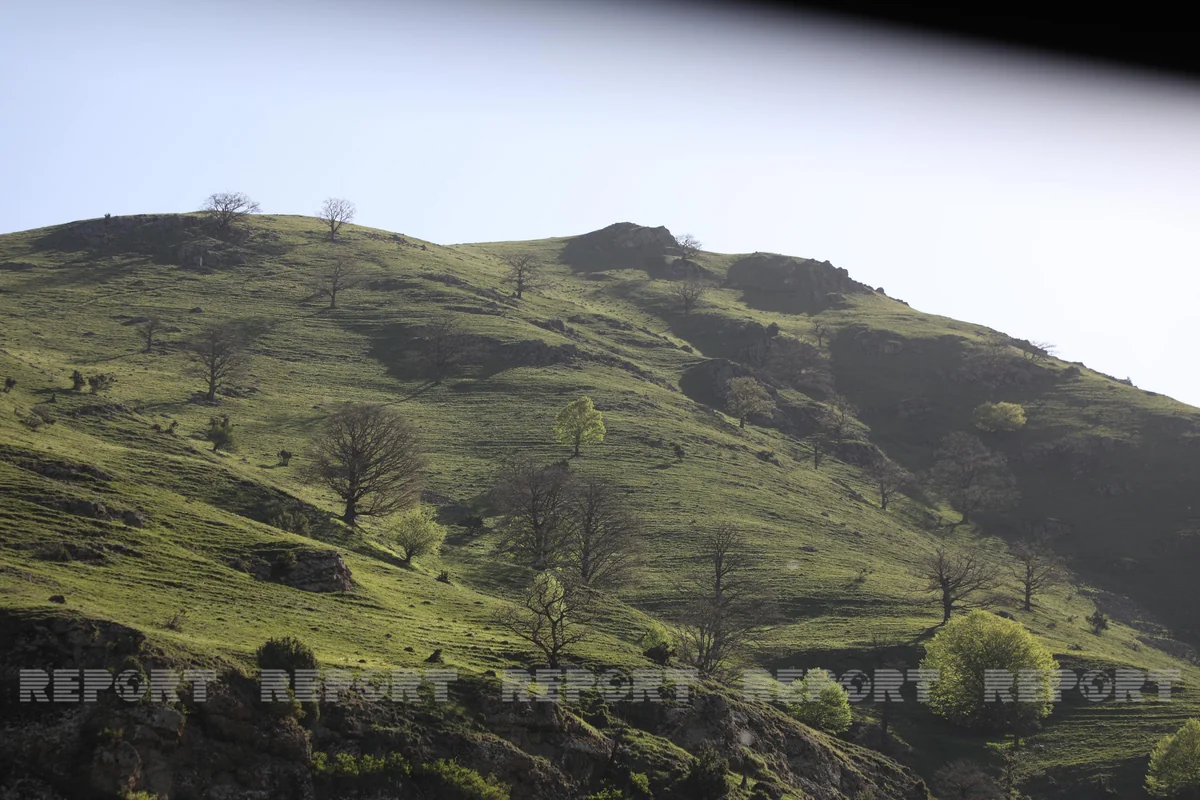 İşğaldan azad olunmuş ərazilərdə torpaq tədqiqatı işlərinə başlanılıb