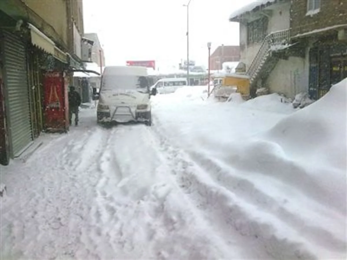 ​Türkiyənin Çaldıran bölgəsində 41 dərəcə şaxta olub