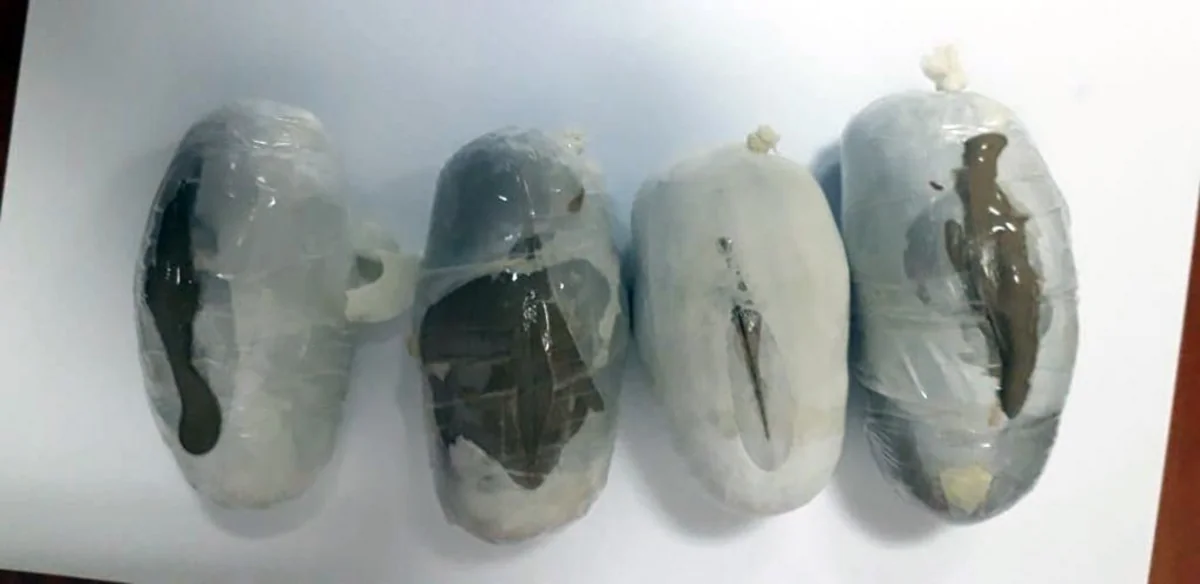 Azərbaycana heroin gətirən İran vətəndaşı saxlanılıb
