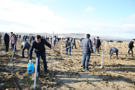 Tree-planting campaign held on 30th anniversary of New Azerbaijan Party