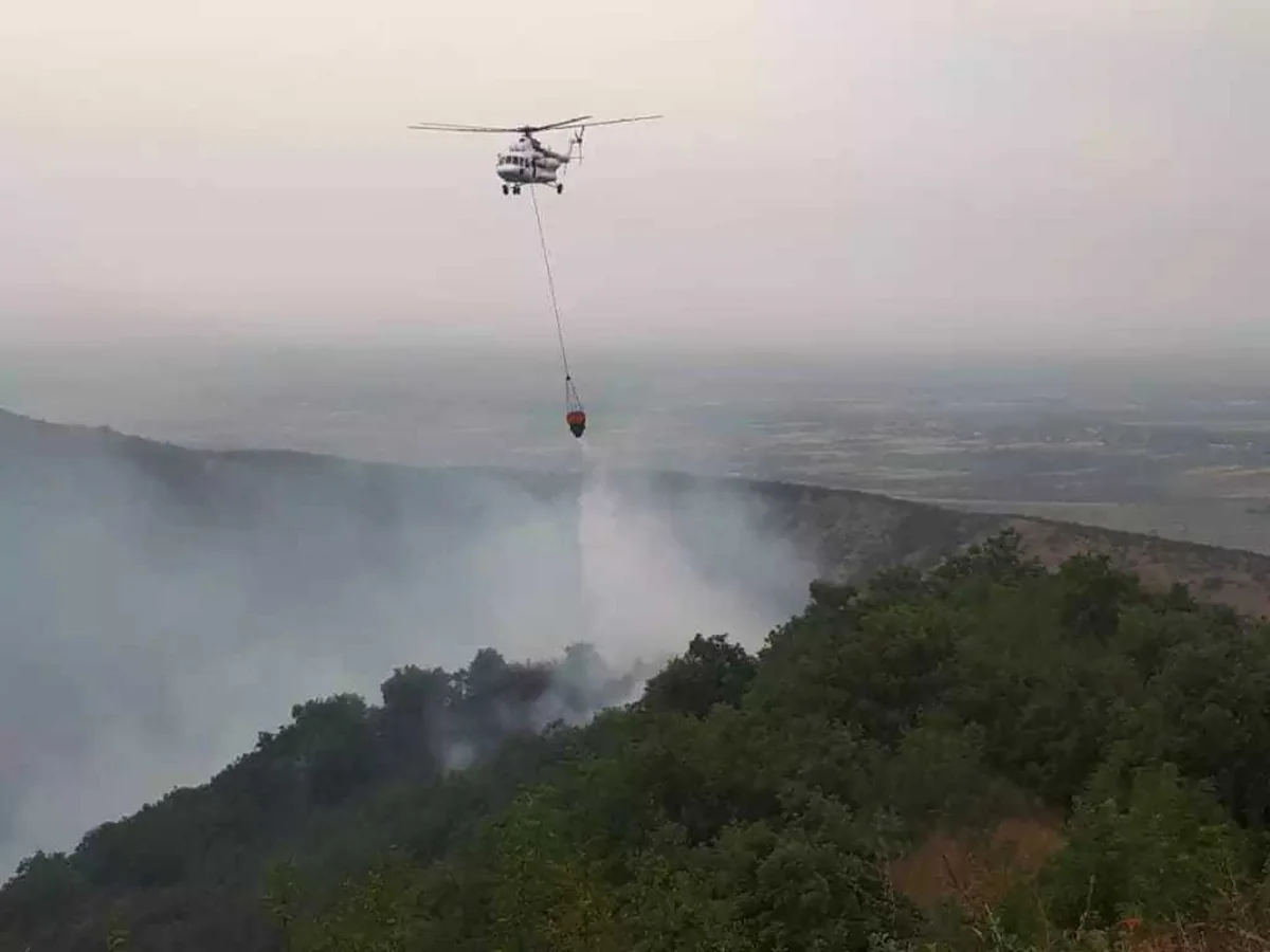 Quba və Şabran meşəliklərindəki yanğın ocaqlarında tüstülənmələr müşahidə olunur - FOTO