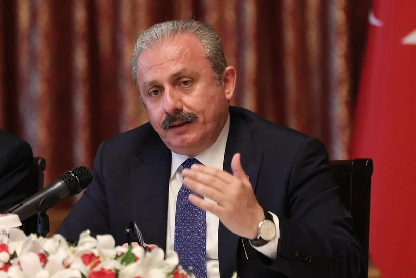 Chairman of Turkish Parliament: Armenia must sign peace treaty