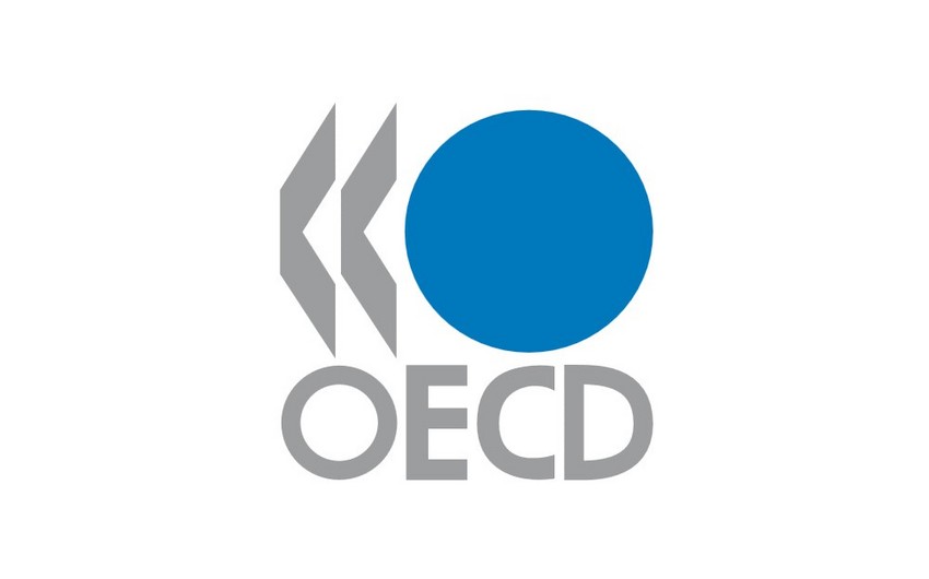 OECD takes Azerbaijan's experience of economic reform as role model