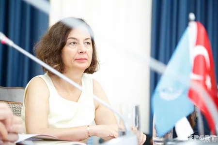 Azərbaycanda meşə institutlarının yenidən qurulması məsələsi müzakirə olunub