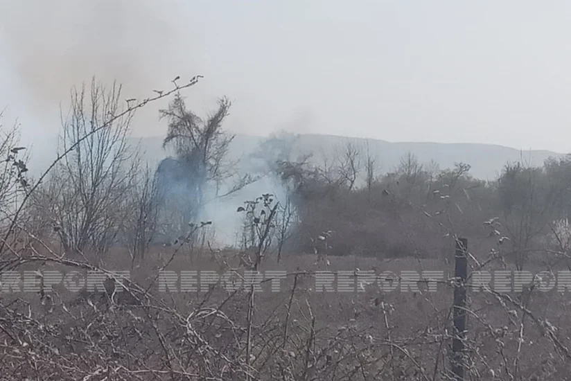 FHN: Oğuzda 3 ha sahədə meyvə ağacları yanıb