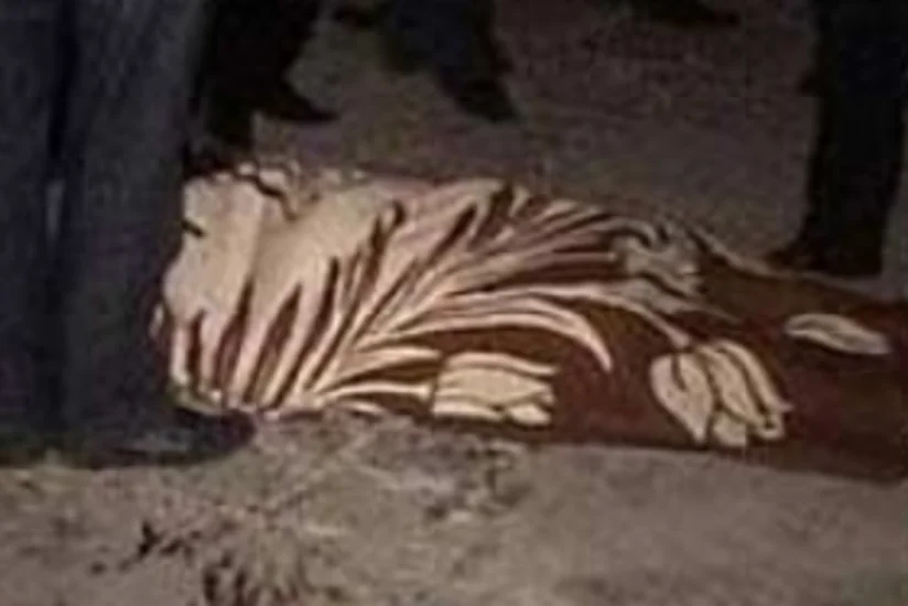 ​Arazda batan şəxslərin meyiti tapılıb