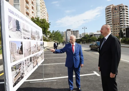 Prezident: Bütün dövlət məmurlarına, özəl qurumlara dəfələrlə xəbərdarlıq etmişəm ki, ağaclar kəsilməməlidir - YENİLƏNİB