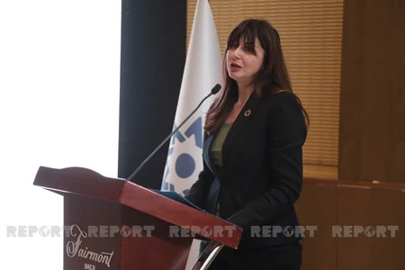 Агентство по разминированию Азербайджана представило новый логотип