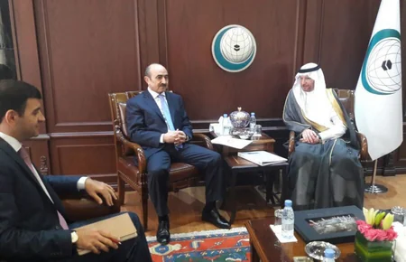 Azerbaijani President's Assistant meets OIC Secretary General