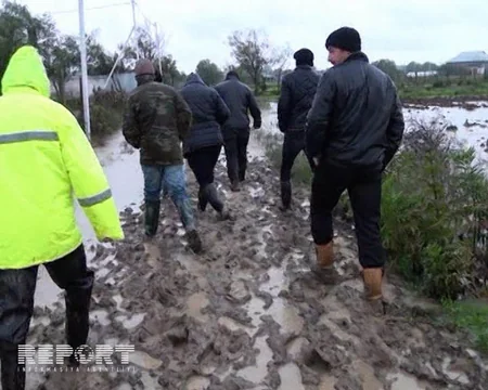 Cənub bölgəsində sel sularının yaratdığı fəsadlar - FOTOREPORTAJ