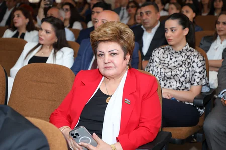 Ümumdünya Qaçqınlar Gününə həsr olunmuş beynəlxalq tədbir keçirilib