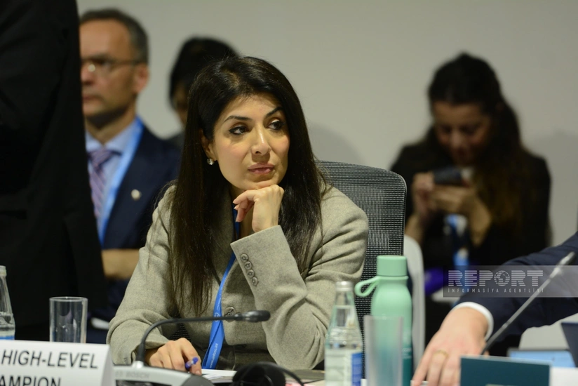 Nigar Arpadarai: “Rəqəmsal texnologiyaların enerji keçidinə transformasiyası vacibdir”