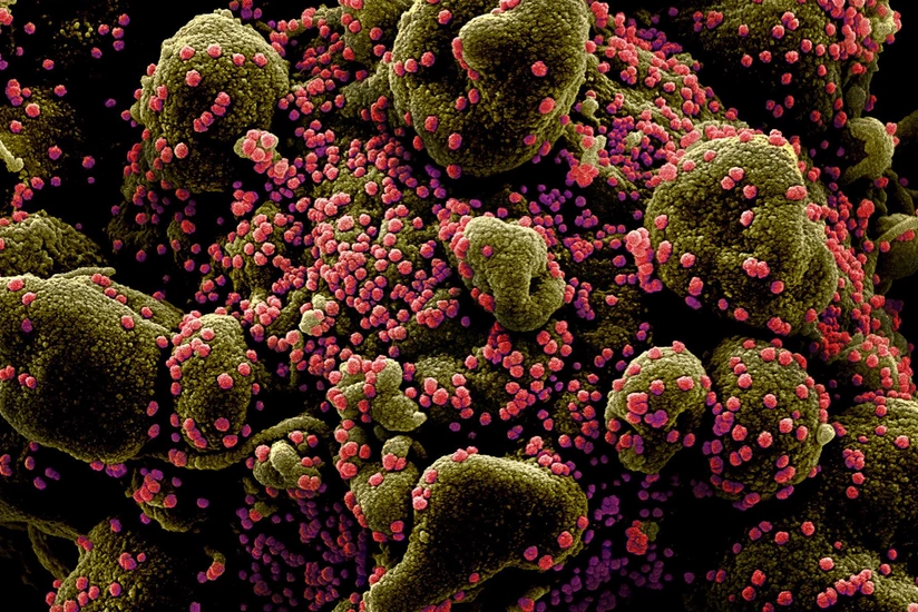 Alimlər: COVID-19 hər həftə mutasiyaya uğrayır