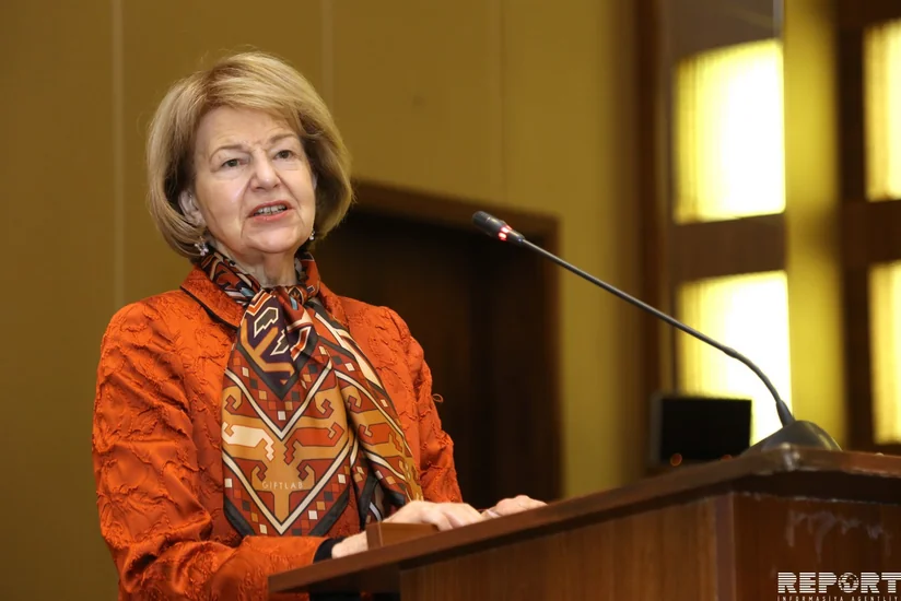 Baroness Nicholson: We are interested in strengthening relations between Azerbaijan and Great Britain
