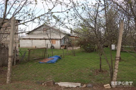 Göygöldə qətlə yetirilən şəxsin anası: 80 yaşlı qadın oğlumu öldürə bilməz - FOTO - VİDEO