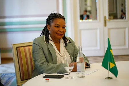 Ministers of Brazil, UAE hail preparations for COP29