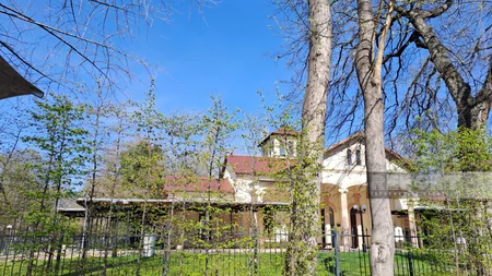 Budapeştdə göylərə yüksələn Azadlıq heykəli: Gellert təpəsində Cabbarlının “Sevil”inin izləri - REPORTAJ
