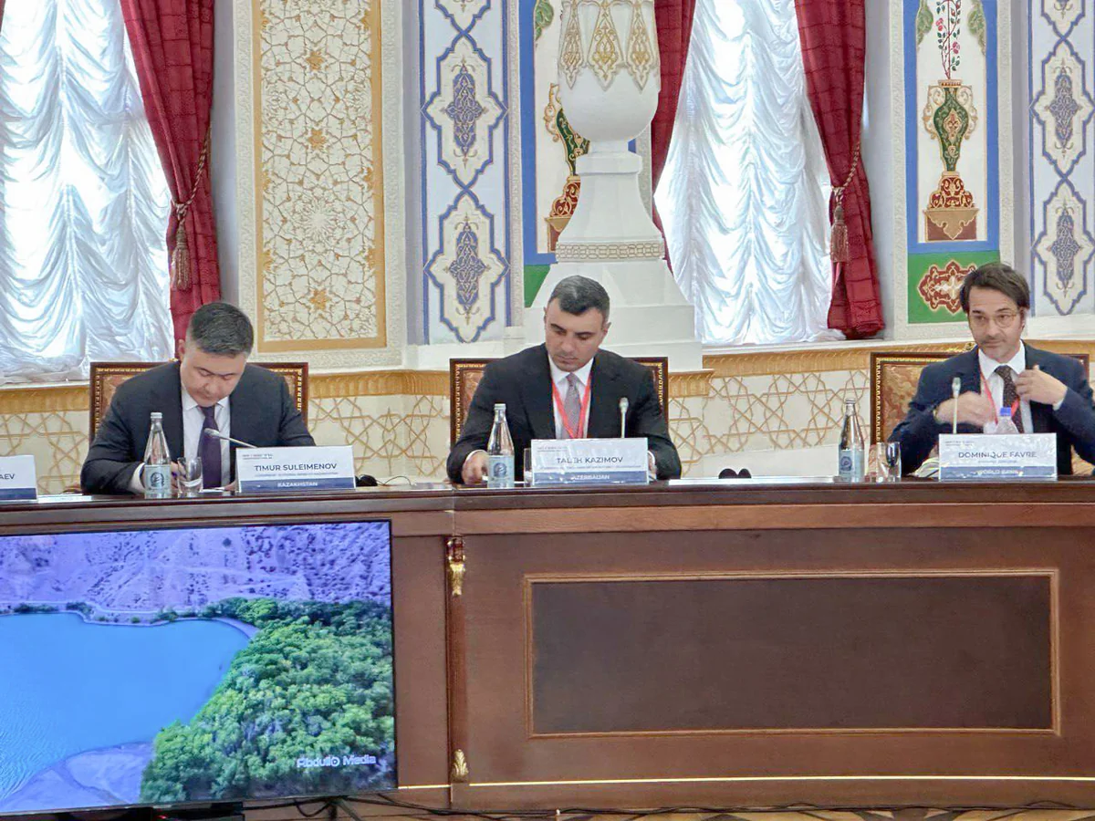 Azerbaijan participates in Swiss Constituency Meeting held in Tajikistan
