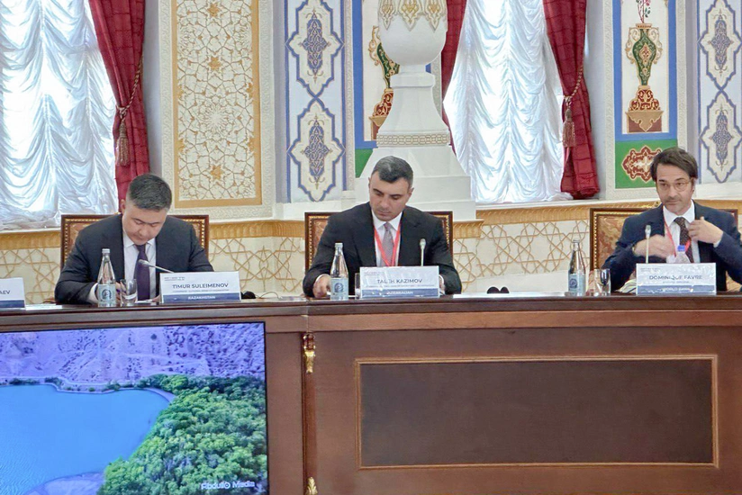 Azerbaijan participates in Swiss Constituency Meeting held in Tajikistan