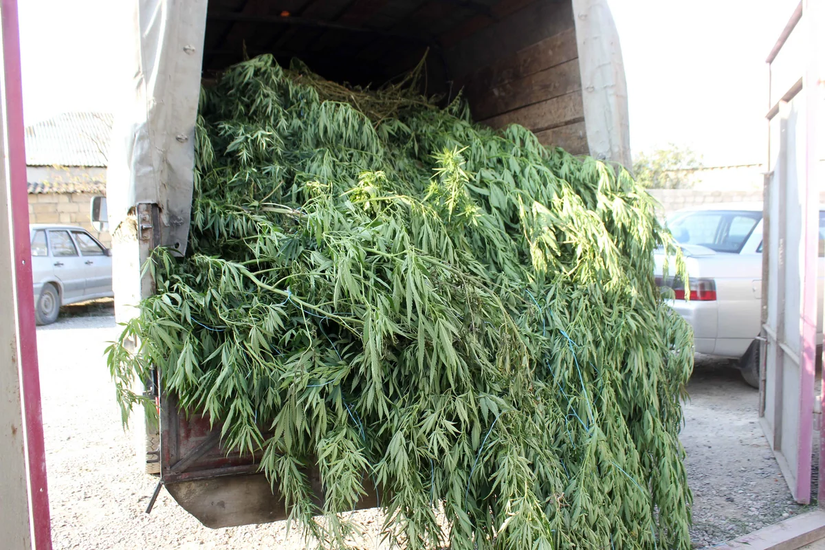 Xaçmaz polisi bir yük avtomobili həcmində narkotik aşkarladı