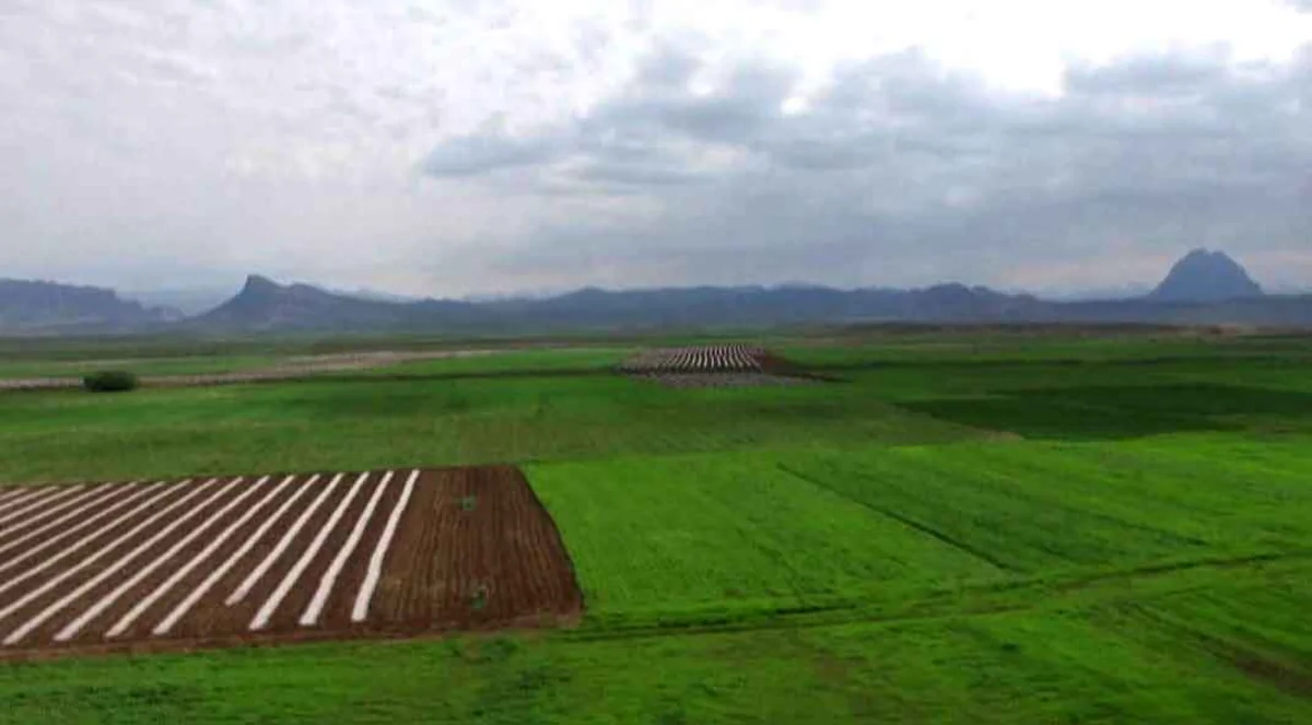 Naxçıvanda pivot suvarma sistemləri qurulacaq