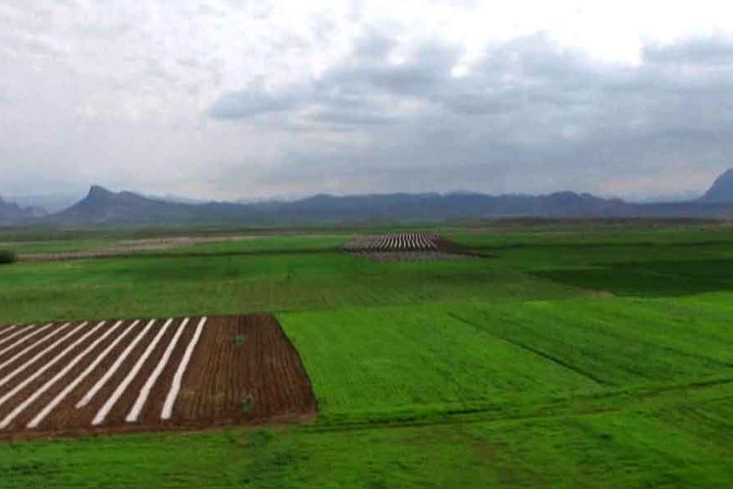 Naxçıvanda pivot suvarma sistemləri qurulacaq