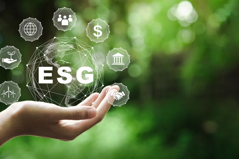 В Азербайджане разрабатывается единая платформа ESG