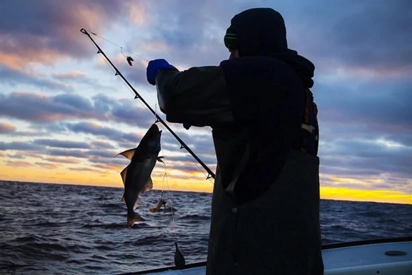 Xəzər dənizi, Mingəçevir su anbarı və Katex çayında qanunsuz ov edən şəxslər cəzalandırılıb