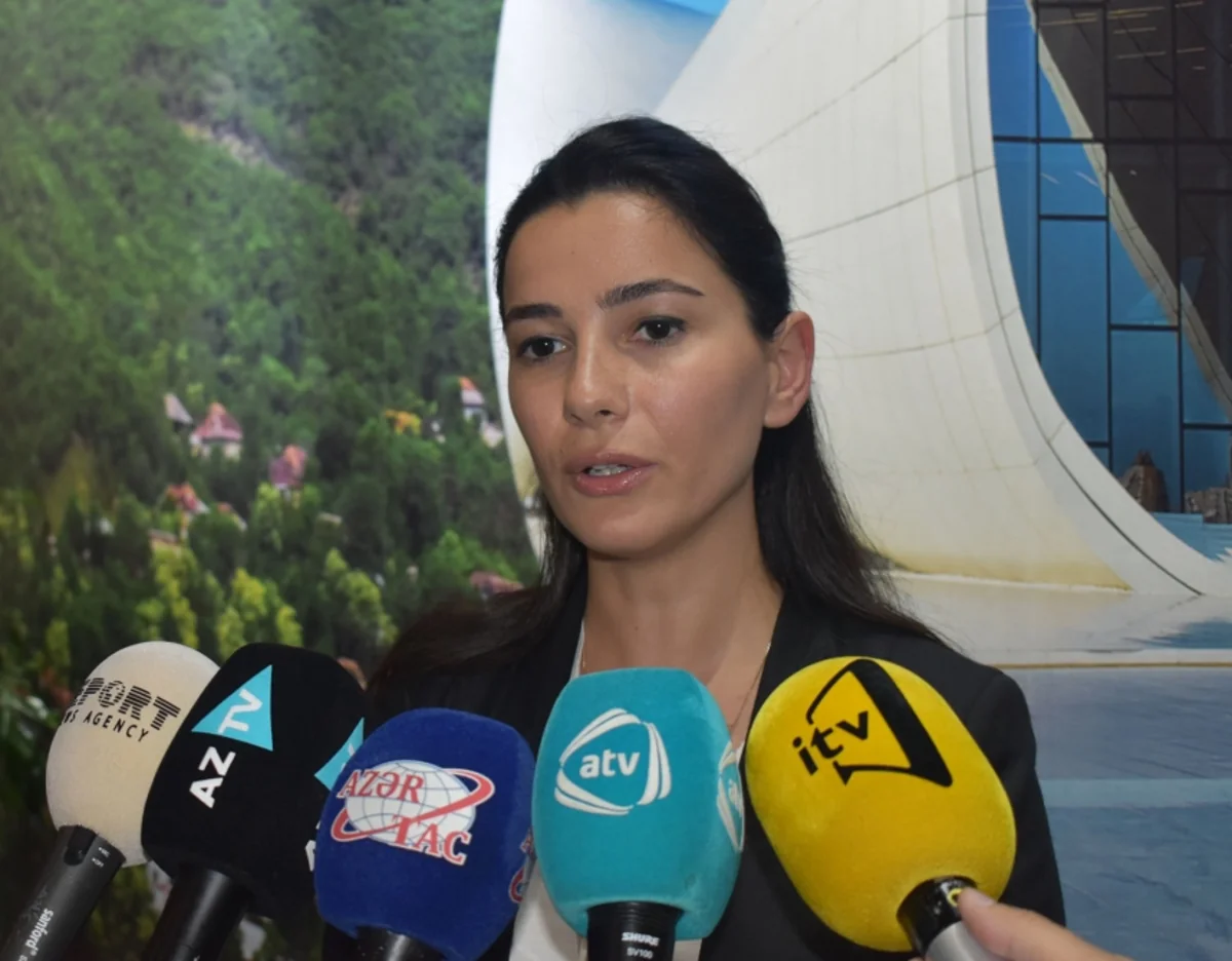 Azerbaijan contributes to tourism development in Georgia, official says