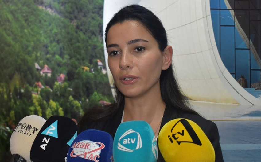 Gürcüstan rəsmisi: “Azərbaycan ölkəmizdə turizmin inkişafına töhfə verib”